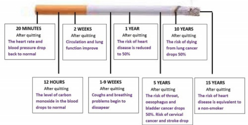 Quit Smoking to Lead a Healthy Life